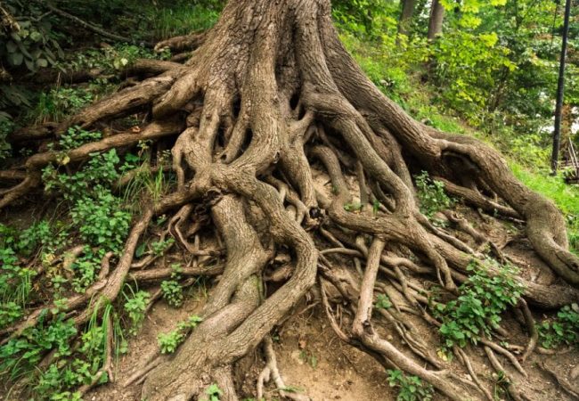 _AXA XL sostenibilidad 2023