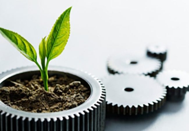 Cabecera-Noticias-300x200-2