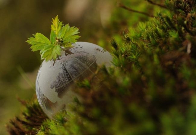 Cabecera-Noticias-web-1