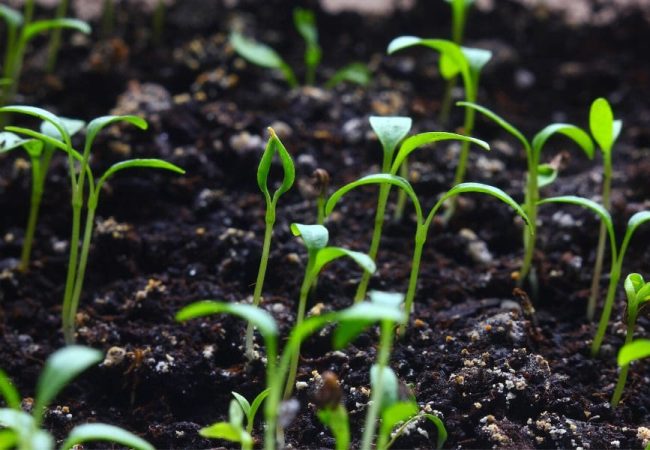 El endurecimiento del mercado se ha ralentizado, pero el ciberespacio sigue siendo problemático