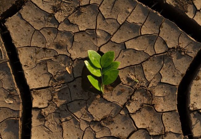España, el país europeo que más nota el cambio climático