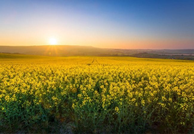 Informe-de-sostenibilidad-de-QB