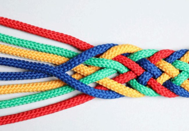 NOTICIAS WEB (900 × 600 px) (1)