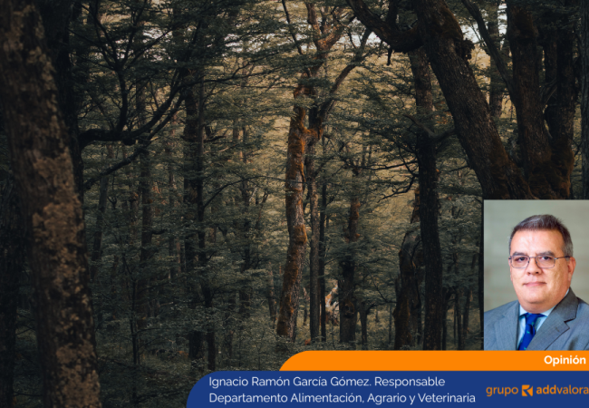 NOTICIAS WEB (900 × 600 px) (1)