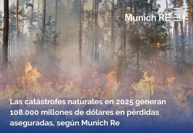 NOTICIAS WEB (900 × 600 px) (1)