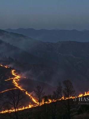 NOTICIAS WEB (900 × 600 px) (22)