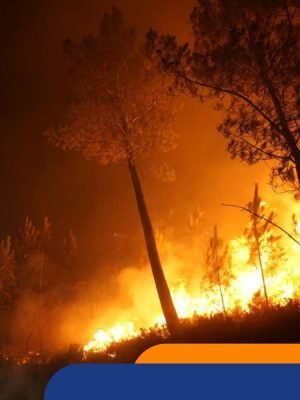 NOTICIAS WEB (900 × 600 px) (27)