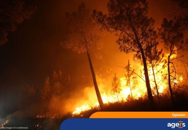 NOTICIAS WEB (900 × 600 px) (27)