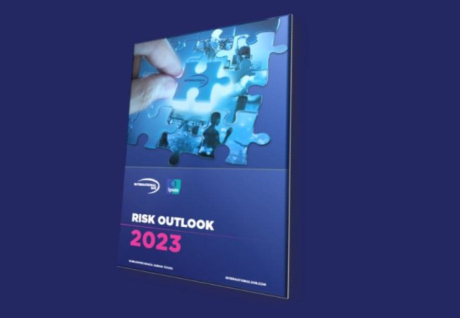 Risk Report on plain background