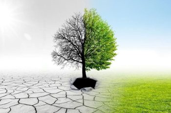 Sesion-catastrofes-naturales