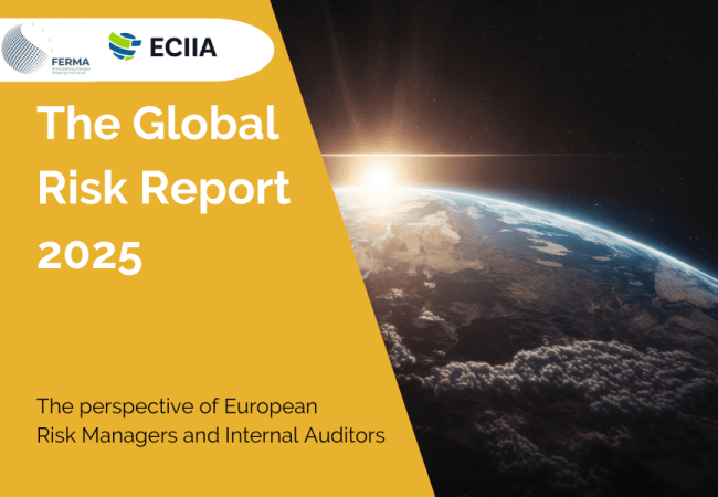 The Global Risk Report 2025