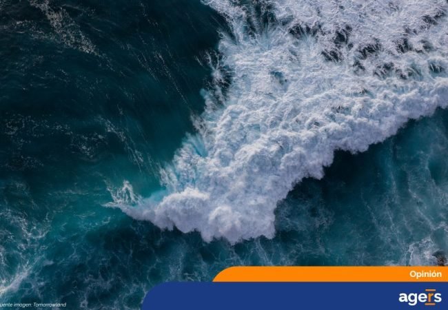 WhatsApp Image 2025-08-01 at 11.26.00