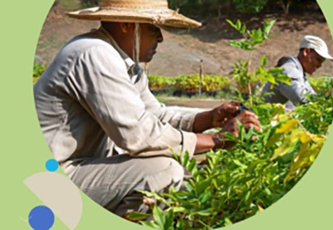 Ya-esta-disponible-el-Informe-Anual-2021-y-el-Informe-de-Sostenibilidad-de-Zurich-300x200-2