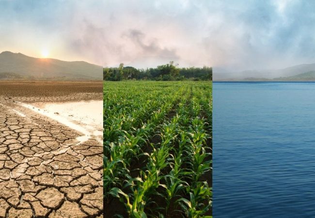aon cambio climatico