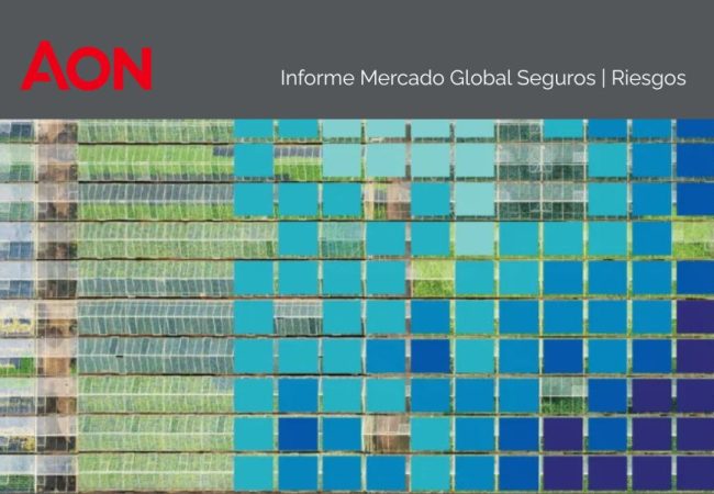 informe aon 2805