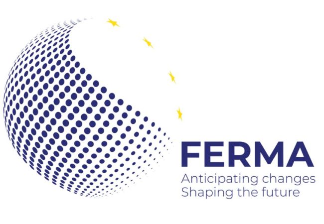 logo FERMA